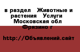  в раздел : Животные и растения » Услуги . Московская обл.,Фрязино г.